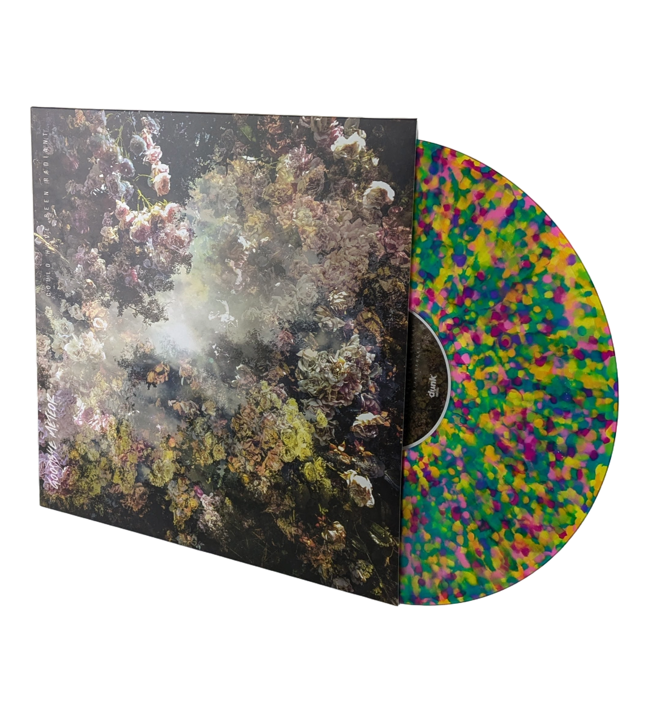 Goodbye Meteor • We Could Have Been Radiant [LP] REPRESS