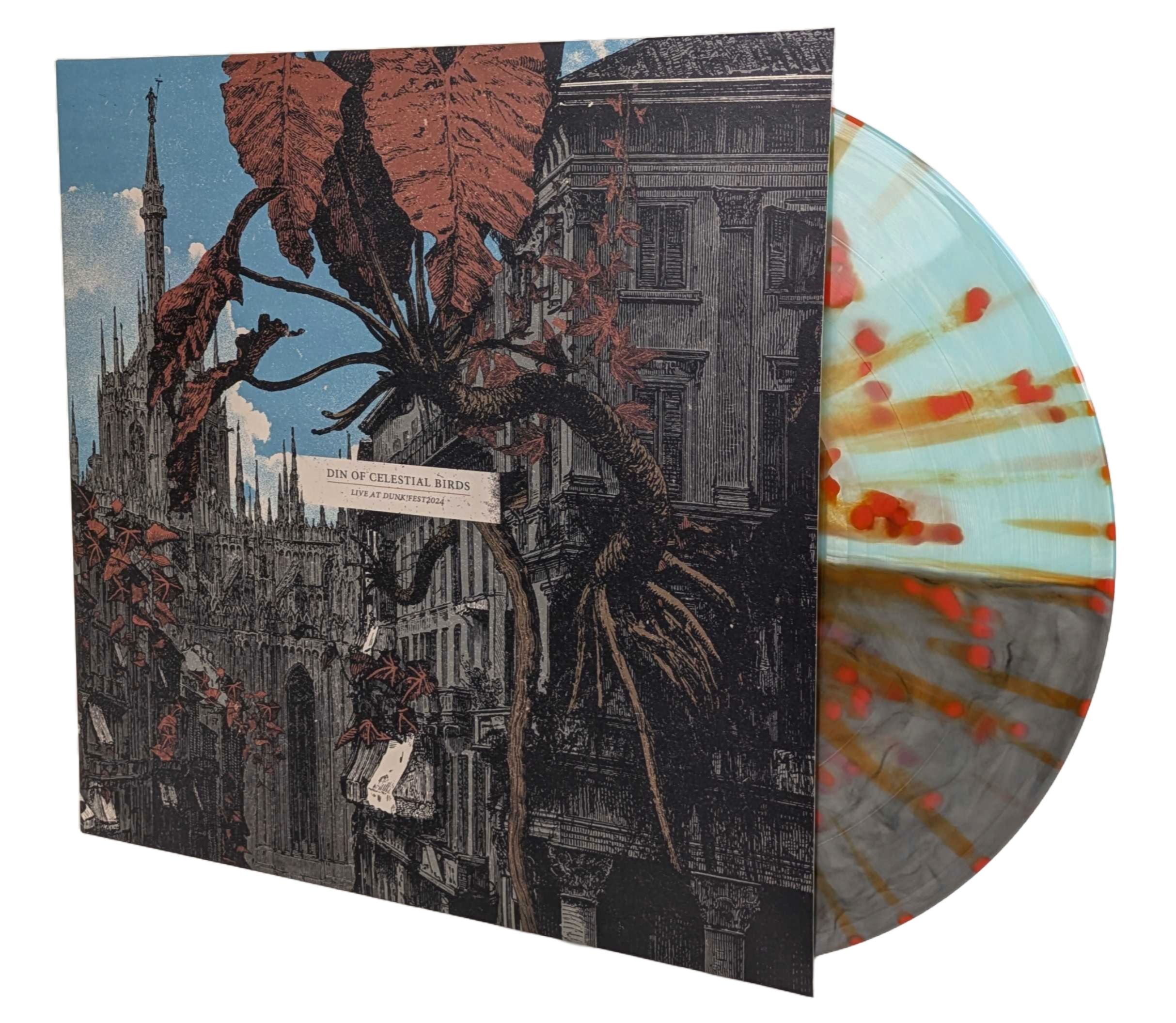 Din Of Celestial Birds • Live at dunk!festival 2024 – dunk!records