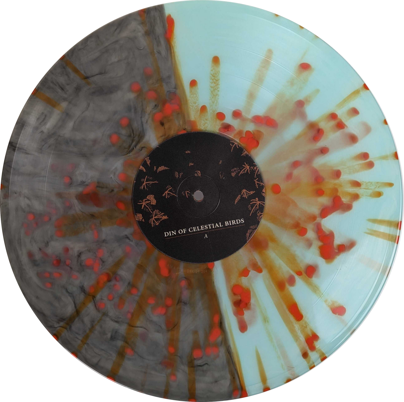 Din Of Celestial Birds • Live at dunk!festival 2024 – dunk!records