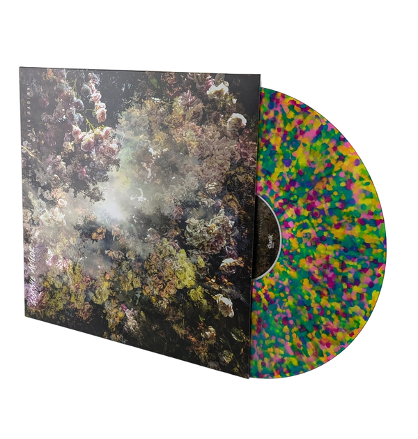 Goodbye Meteor • We Could Have Been Radiant [LP] REPRESS!