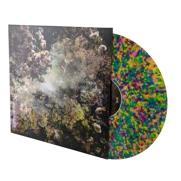 Goodbye Meteor • We Could Have Been Radiant [LP] REPRESS! – dunk
