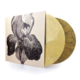 A Swarm Of The Sun • Live at dunk!festival 2025 [2xLP]