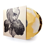 A Swarm Of The Sun • Live at dunk!festival 2025 [2xLP]
