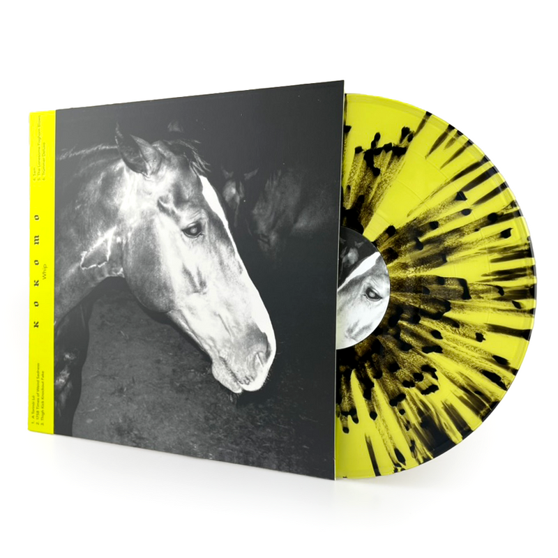Kokomo • Whip [LP] – dunk!records