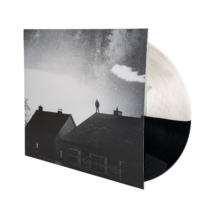 we.own.the.sky • In Your Absence [LP]
