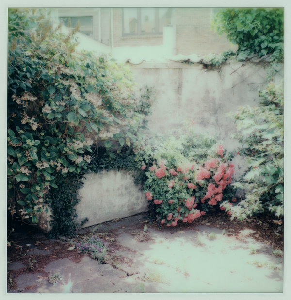 Bloed • Tranen [LP]