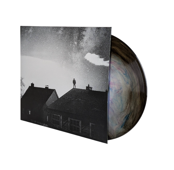 we.own.the.sky • In Your Absence [LP]