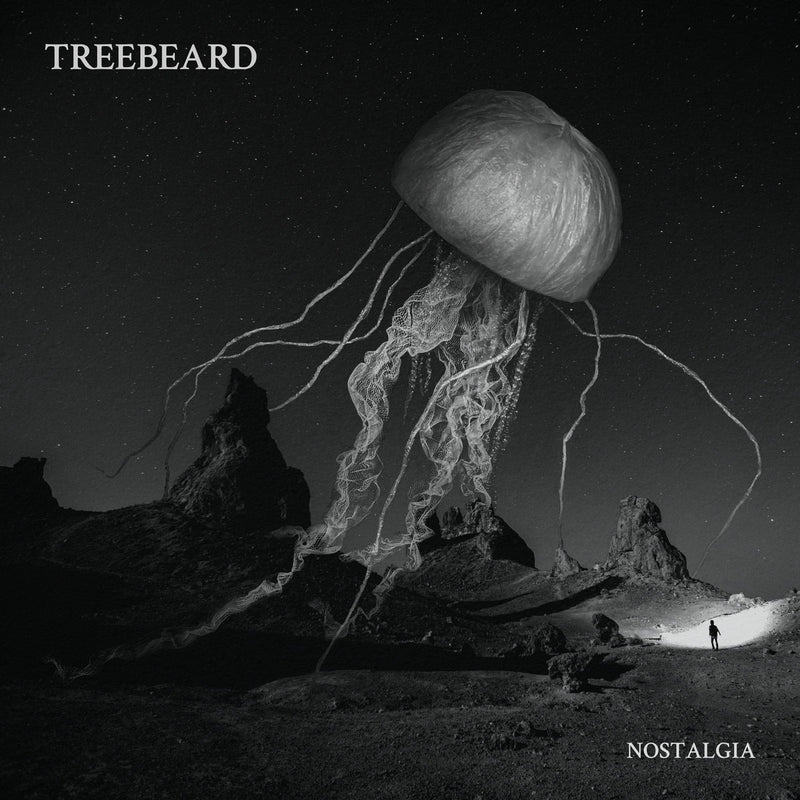 Treebeard • Nostalgia [2xLP]