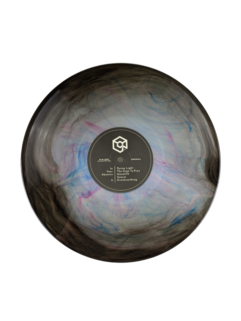 we.own.the.sky • In Your Absence [LP]