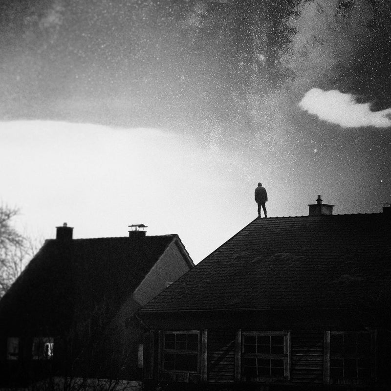 we.own.the.sky • In Your Absence [LP]