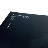 This Patch of Sky • These Small Spaces [2xLP]