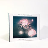 Pray For Sound • Everything Is Beautiful [CD]